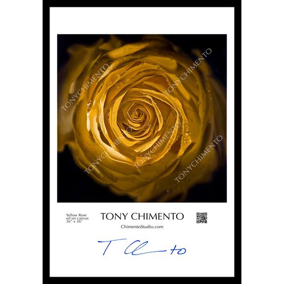 Yellow Rose by Tony Chimento Signed Art Poster 13"x19" - Picture 1 of 1